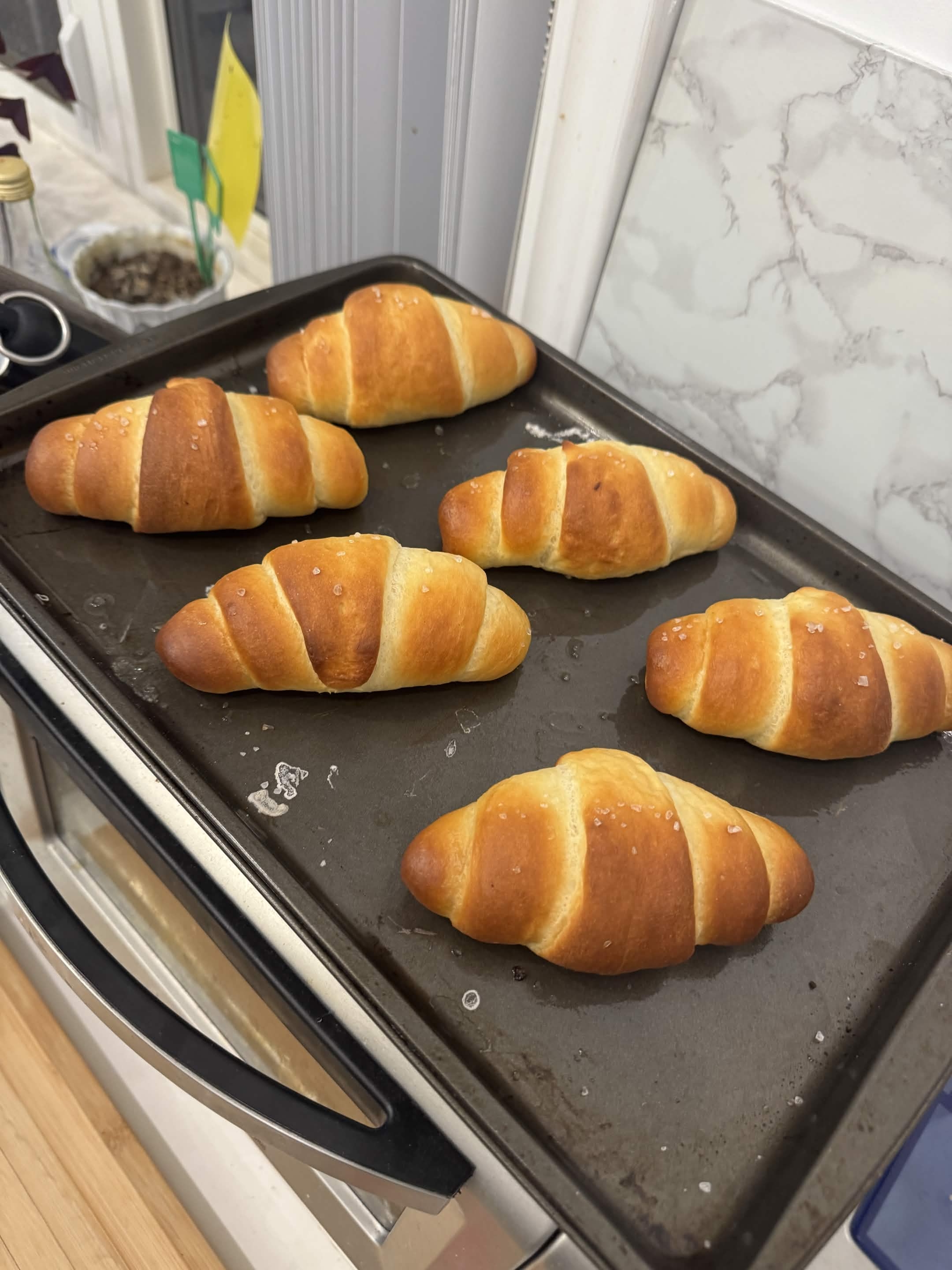Finished salt bread rolls on a baking tray