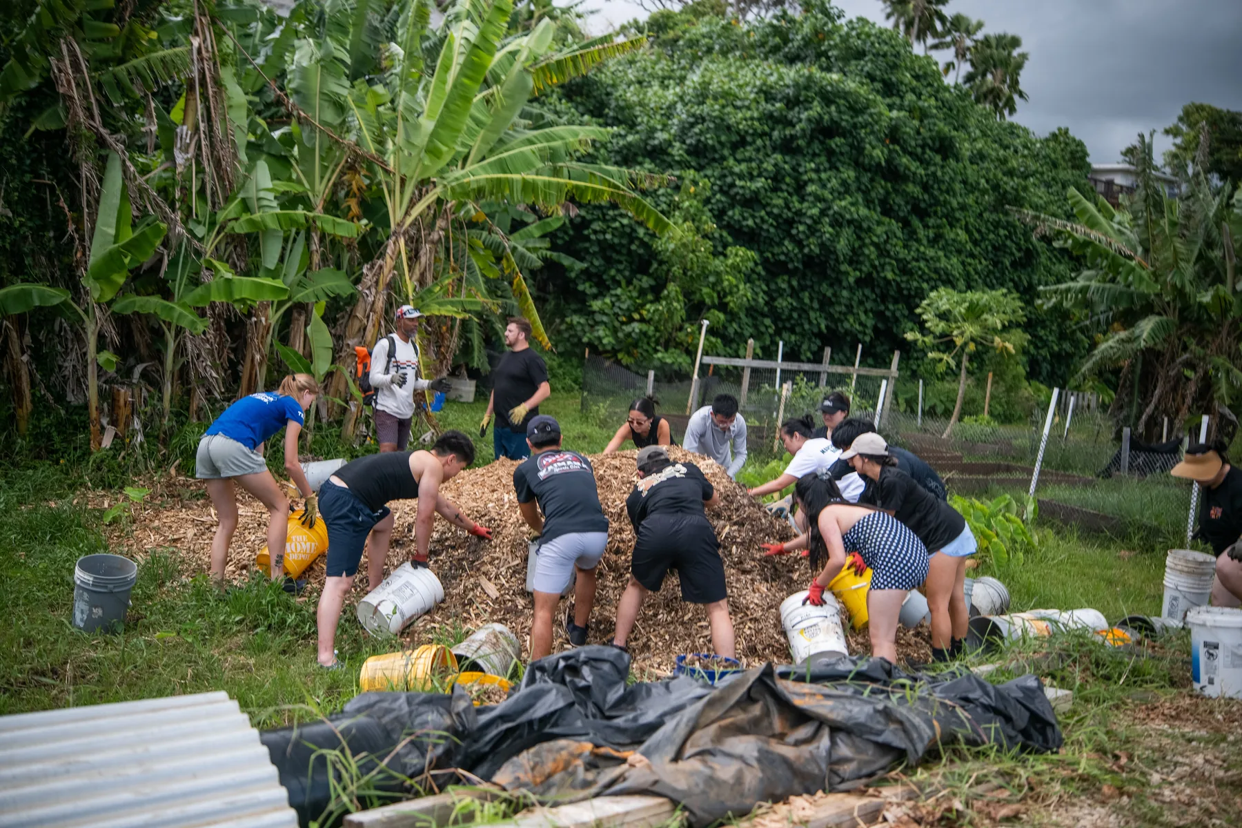 Team members working together around the plants at Heʻeia Fishpond.