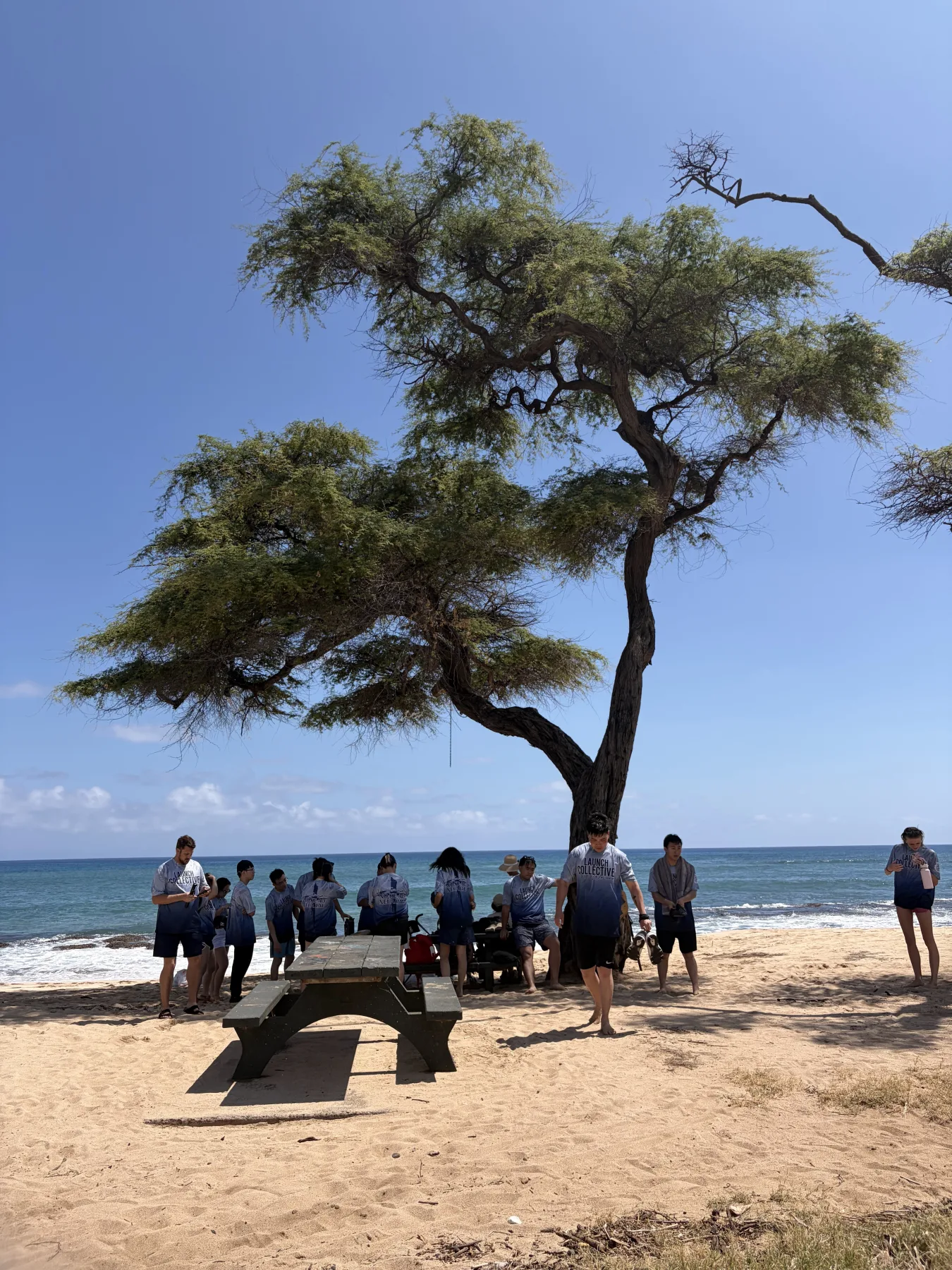 Team members gathered around a beach picnic table after cleanup.