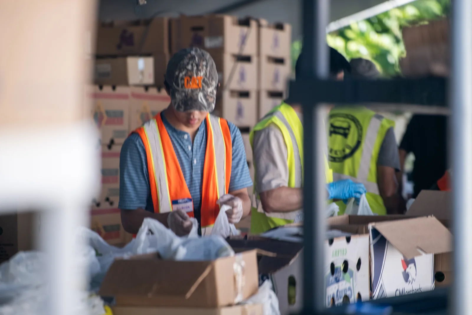 Volunteers packing bags of food and produce during the food drive.